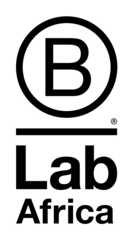 B Lab Africa logo