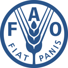 Food and Agriculture Organization of the United Nations logo